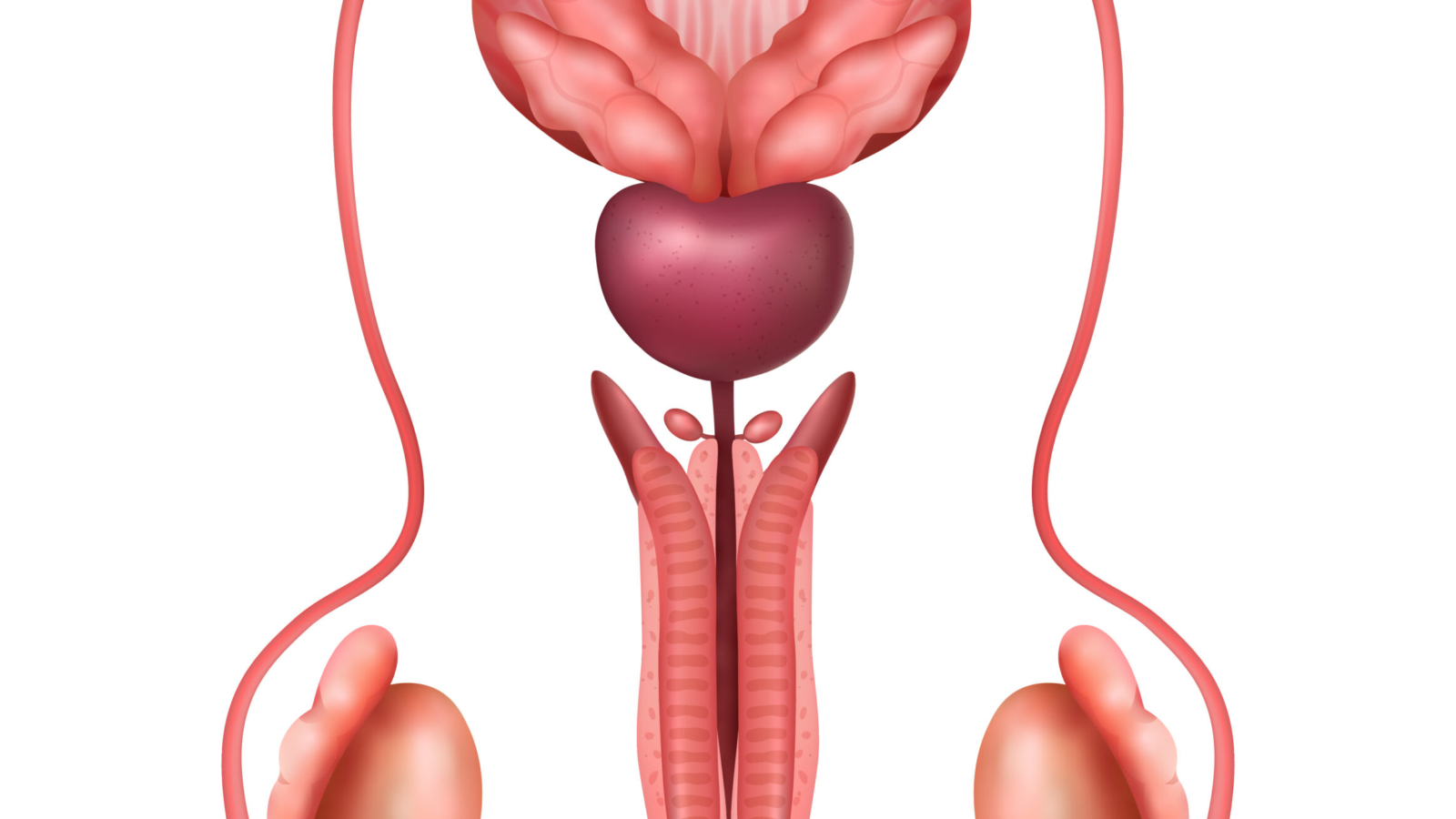 Urinary Incontinence Treatment