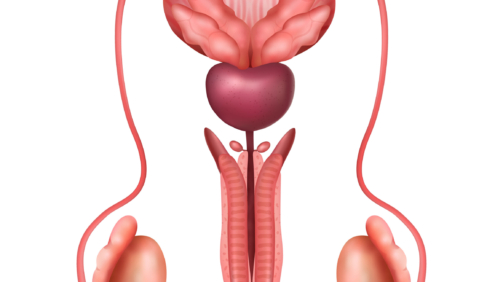 Urinary Incontinence Treatment